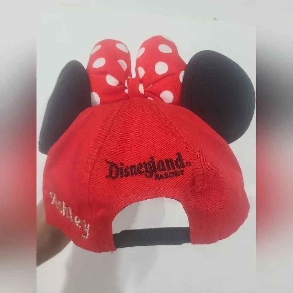 Disney Parks 
